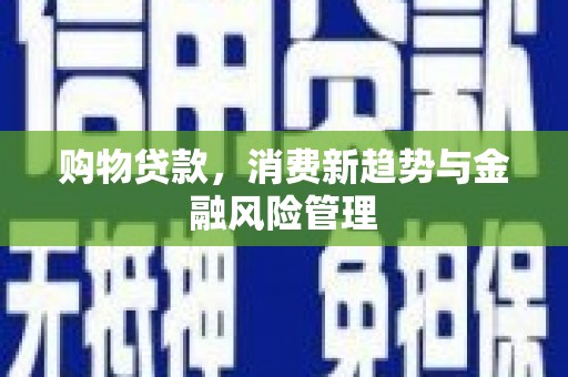 张掖购物贷款，消费新趋势与金融风险管理