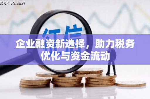 张掖企业融资新选择，助力税务优化与资金流动