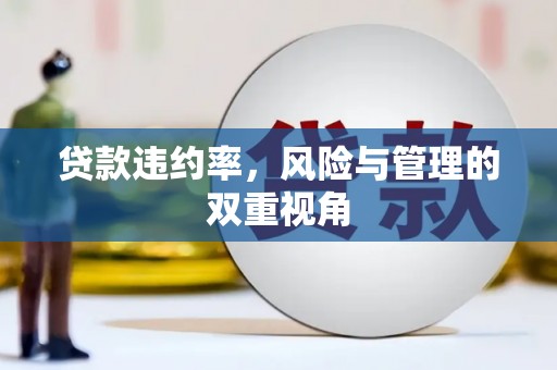 张掖贷款违约率，风险与管理的双重视角