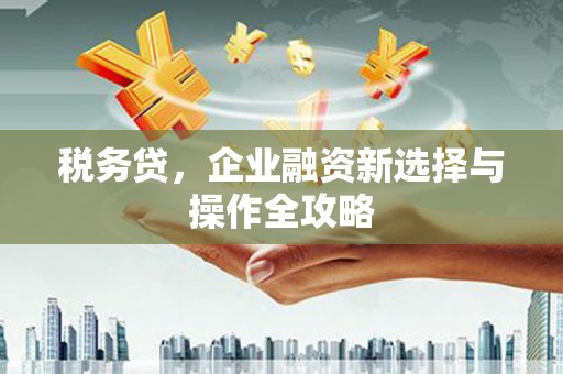 张掖税务贷，企业融资新选择与操作全攻略