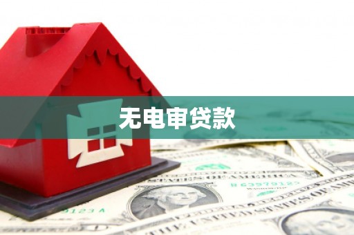张掖无电审贷款