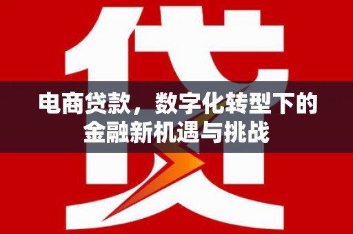 张掖电商贷款，数字化转型下的金融新机遇与挑战