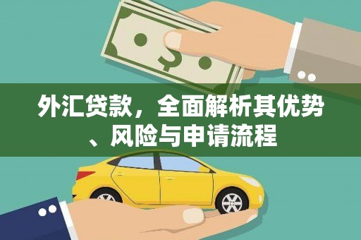 张掖外汇贷款，全面解析其优势、风险与申请流程