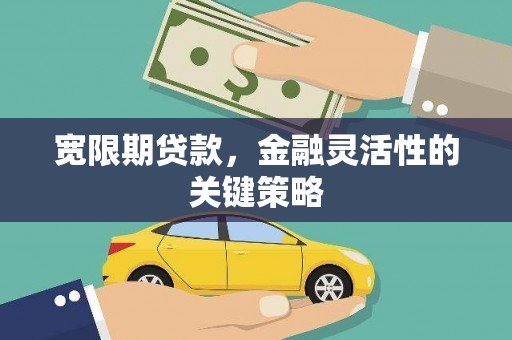 张掖宽限期贷款，金融灵活性的关键策略