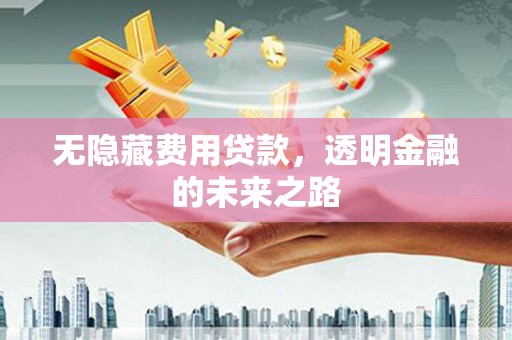 张掖无隐藏费用贷款，透明金融的未来之路