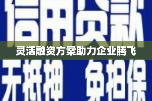 张掖灵活融资方案助力企业腾飞