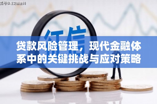 张掖贷款风险管理，现代金融体系中的关键挑战与应对策略