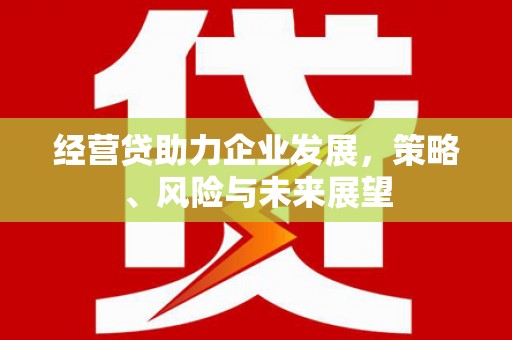 张掖经营贷助力企业发展，策略、风险与未来展望