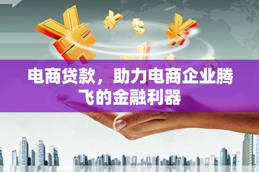 张掖电商贷款，助力电商企业腾飞的金融利器
