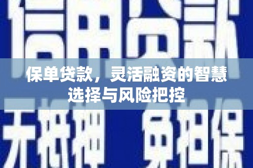 张掖保单贷款，灵活融资的智慧选择与风险把控