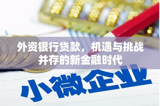 张掖外资银行贷款，机遇与挑战并存的新金融时代