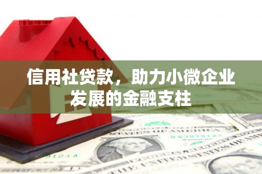 张掖信用社贷款，助力小微企业发展的金融支柱