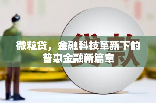 张掖微粒贷，金融科技革新下的普惠金融新篇章