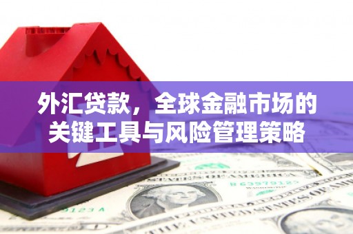 张掖外汇贷款，全球金融市场的关键工具与风险管理策略