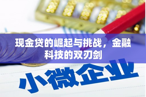 张掖现金贷的崛起与挑战，金融科技的双刃剑