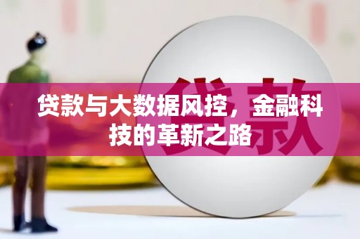 张掖贷款与大数据风控，金融科技的革新之路