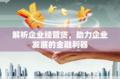 张掖解析企业经营贷，助力企业发展的金融利器