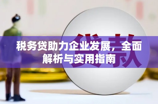 张掖税务贷助力企业发展，全面解析与实用指南