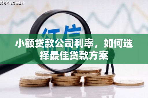 张掖小额贷款公司利率，如何选择最佳贷款方案