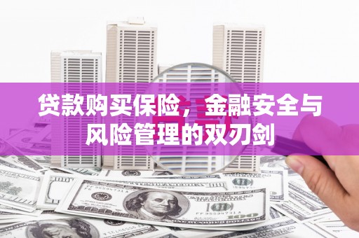 张掖贷款购买保险，金融安全与风险管理的双刃剑