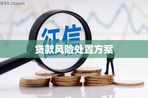 张掖贷款风险处置方案