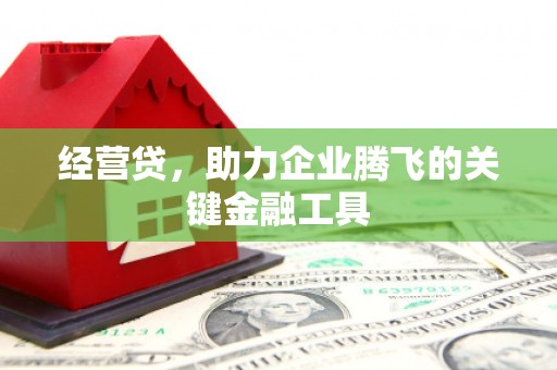 张掖经营贷，助力企业腾飞的关键金融工具