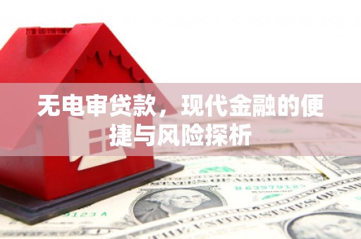 张掖无电审贷款，现代金融的便捷与风险探析