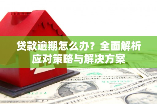 张掖贷款逾期怎么办？全面解析应对策略与解决方案