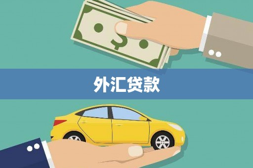 张掖外汇贷款