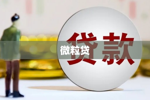 张掖微粒贷