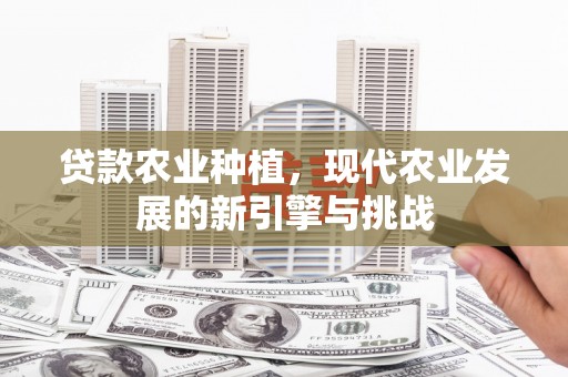 张掖贷款农业种植，现代农业发展的新引擎与挑战