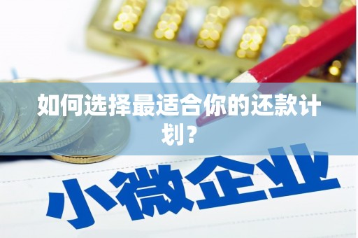 张掖如何选择最适合你的还款计划？