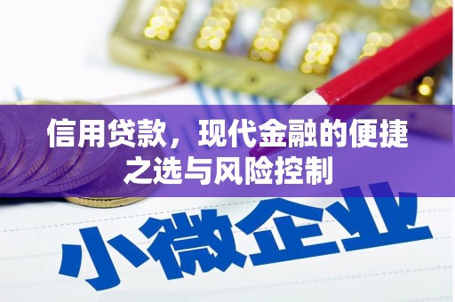 张掖信用贷款，现代金融的便捷之选与风险控制