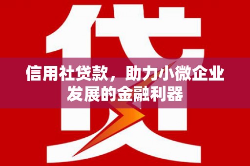 张掖信用社贷款，助力小微企业发展的金融利器