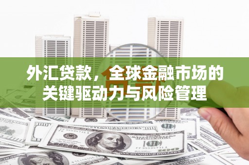 张掖外汇贷款，全球金融市场的关键驱动力与风险管理
