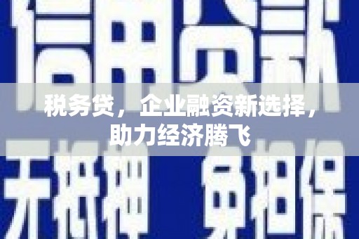 张掖税务贷，企业融资新选择，助力经济腾飞