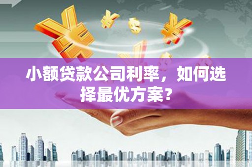 张掖小额贷款公司利率，如何选择最优方案？