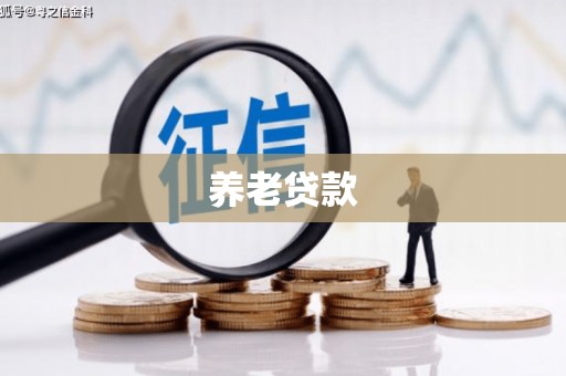 张掖养老贷款