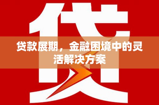 张掖贷款展期，金融困境中的灵活解决方案
