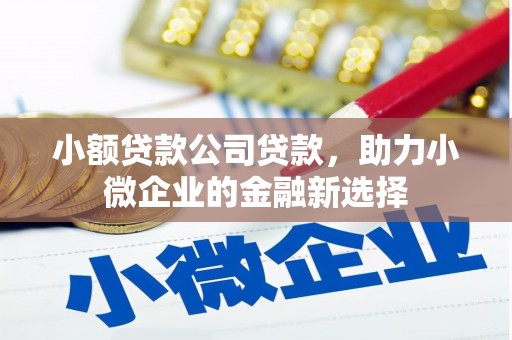 张掖小额贷款公司贷款，助力小微企业的金融新选择