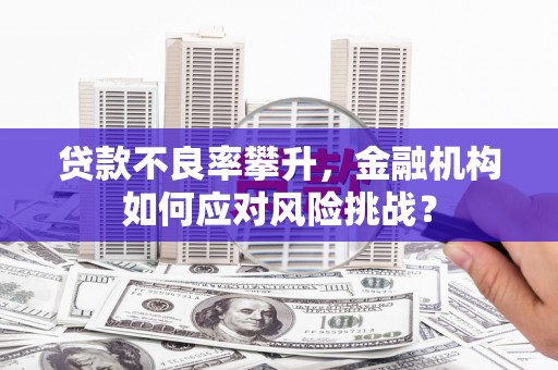 张掖贷款不良率攀升，金融机构如何应对风险挑战？
