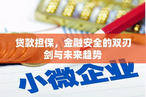 张掖贷款担保，金融安全的双刃剑与未来趋势