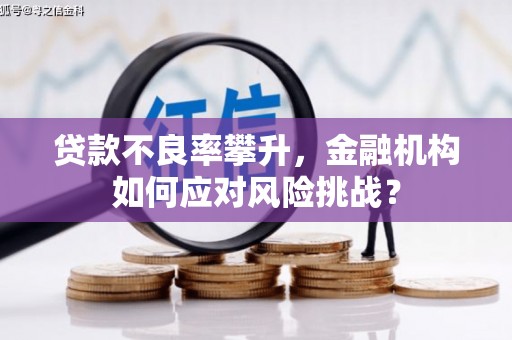 张掖贷款不良率攀升，金融机构如何应对风险挑战？