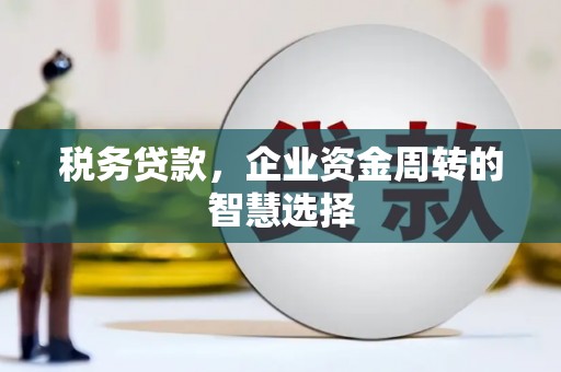 张掖税务贷款，企业资金周转的智慧选择