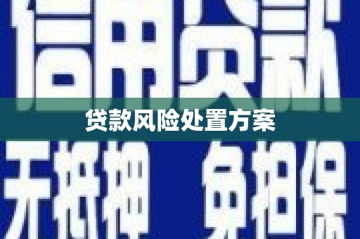 张掖贷款风险处置方案