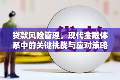 张掖贷款风险管理，现代金融体系中的关键挑战与应对策略