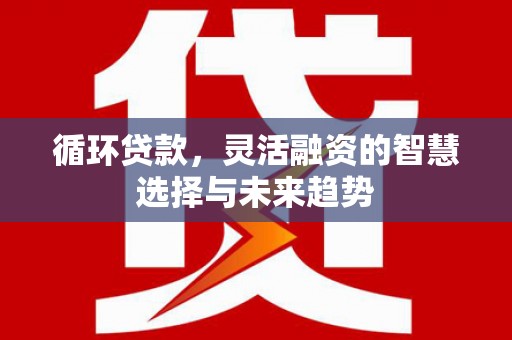 张掖循环贷款，灵活融资的智慧选择与未来趋势