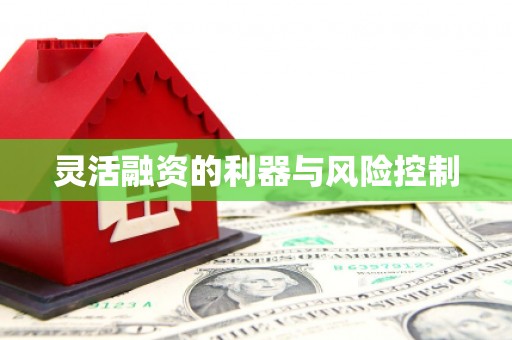 张掖灵活融资的利器与风险控制