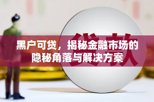 张掖黑户可贷，揭秘金融市场的隐秘角落与解决方案