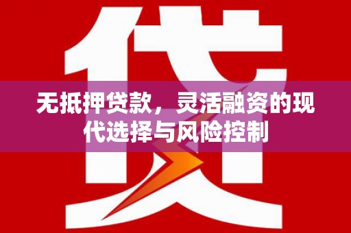 张掖无抵押贷款，灵活融资的现代选择与风险控制